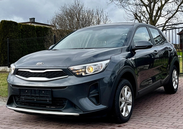 Kia Stonic cena 60999 przebieg: 38441, rok produkcji 2019 z Supraśl małe 704